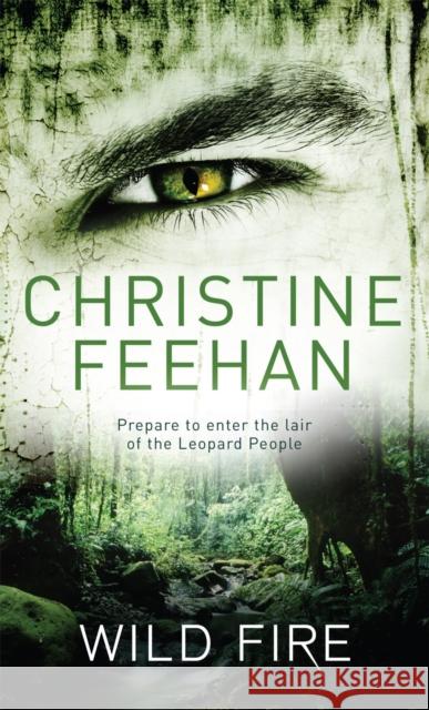 Wild Fire: Number 4 in series Christine Feehan 9780349400075 Little, Brown Book Group - książka