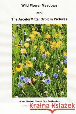 Wild Flower Meadows and the Arcelormittal Orbit in Pictures: Olympic Legacy Llewelyn Pritchard 9781493764334 Createspace - książka