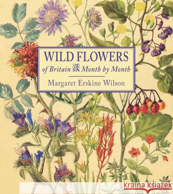 Wild Flowers of Britain: Month by Month Margaret Erskine Wilson 9781910723319 Merlin Unwin Books - książka