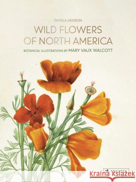 Wild Flowers of North America: Botanical Illustrations by Mary Vaux Walcott Pamela Henson 9783791388892 Prestel - książka