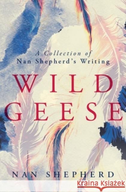 Wild Geese: A Collection of Nan Shepherd's Writings Nan Shepherd 9781912916108 Galileo Publishers - książka