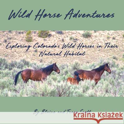 Wild Horse Adventures: Exploring Colorado's wild horses in their natural habitat Scott, Blaine M. 9780578481852 Steadfast Steeds - książka
