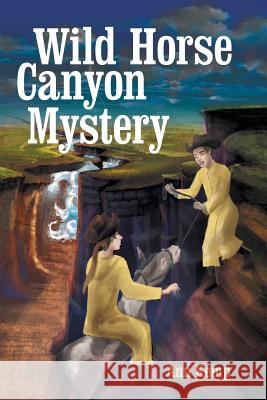 Wild Horse Canyon Mystery Ann Kemp 9781973619024 WestBow Press - książka