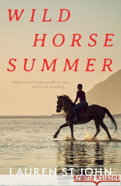 Wild Horse Summer Lauren St John 9780571376193 Faber & Faber - książka