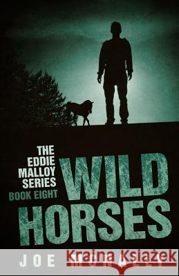 Wild Horses MR Joe McNally 9781533323910 Createspace Independent Publishing Platform - książka