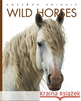 Wild Horses Kate Riggs 9781640265578 Creative Education - książka