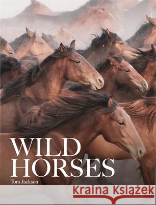 Wild Horses Tom Jackson 9781838864279 Amber Books Ltd - książka