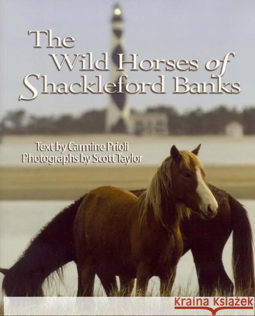 Wild Horses of Shackleford Banks Carmine Prioli Scott Taylor 9780895873347 John F. Blair Publisher - książka