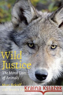 Wild Justice: The Moral Lives of Animals Bekoff, Marc 9780226041636 The University of Chicago Press - książka