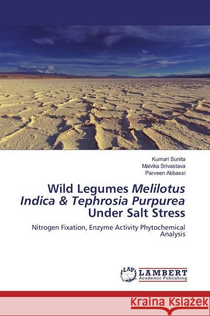 Wild Legumes Melilotus Indica & Tephrosia Purpurea Under Salt Stress : Nitrogen Fixation, Enzyme Activity Phytochemical Analysis Sunita, Kumari; Srivastava, Malvika; Abbassi, Parveen 9786200564719 LAP Lambert Academic Publishing - książka