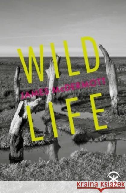 Wild Life James McDermott 9781913437701 Nine Arches Press - książka