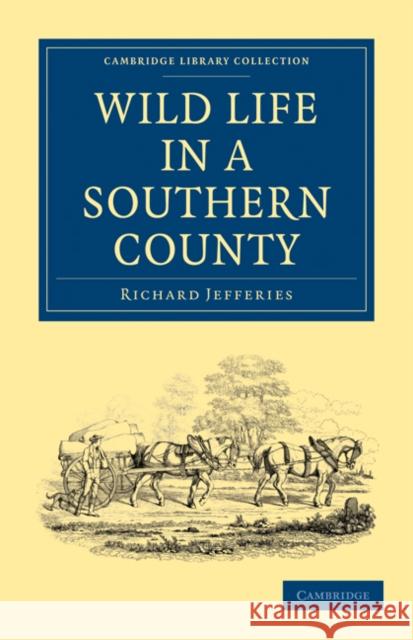 Wild Life in a Southern County Richard Jefferies 9781108025355 Cambridge University Press - książka