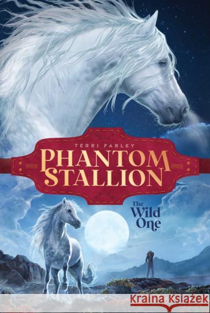 Wild One Terri Farley 9781665916325 Aladdin - książka