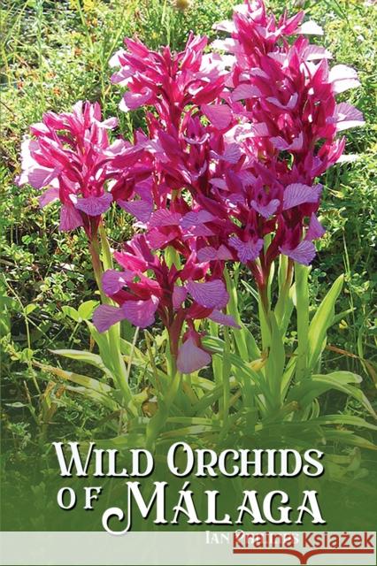 Wild Orchids of Malaga Ian Phillips 9781528997874 Austin Macauley Publishers - książka