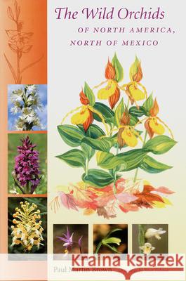 Wild Orchids of North America, North of Mexico Paul Martin Brown Stan Folsom 9780813025711 University Press of Florida - książka