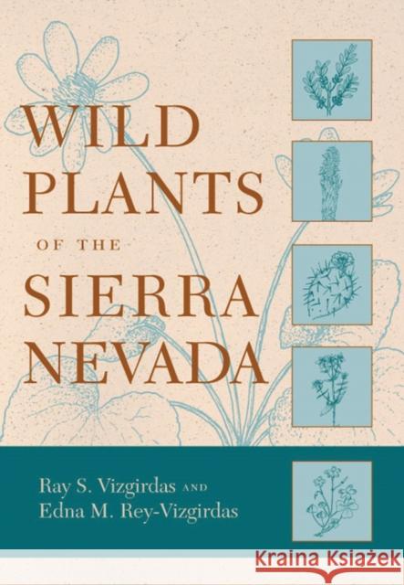 Wild Plants of the Sierra Nevada Ray S. Vizgirdas Edna M. Rey-Vizgirdas 9780874177893 University of Nevada Press - książka