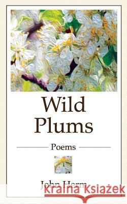 Wild Plums John Whitton Herm 9781732103214 Recondier Press - książka