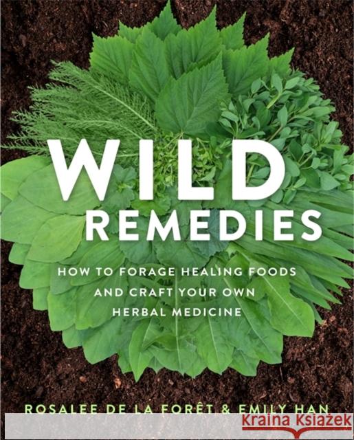 Wild Remedies: How to Forage Healing Foods and Craft Your Own Herbal Medicine de la Forêt, Rosalee 9781401956882 Hay House Inc - książka