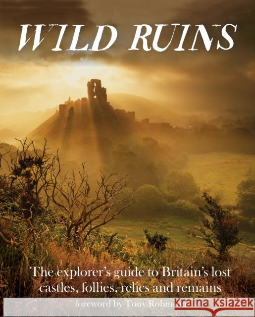 Wild Ruins: The Explorer's Guide to Britain Lost Castles, Follies, Relics and Remains Dave Hamilton 9781910636022 Wild Things Publishing Ltd - książka