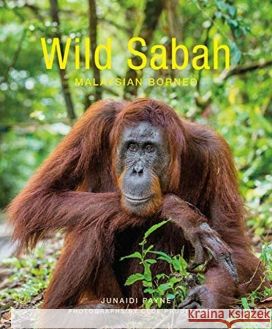 Wild Sabah (2nd edition) Junaidi Payne 9781912081110 John Beaufoy Publishing Ltd - książka