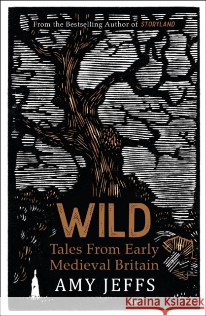 Wild: Tales from Early Medieval Britain Amy Jeffs 9781529424263 Quercus Publishing - książka