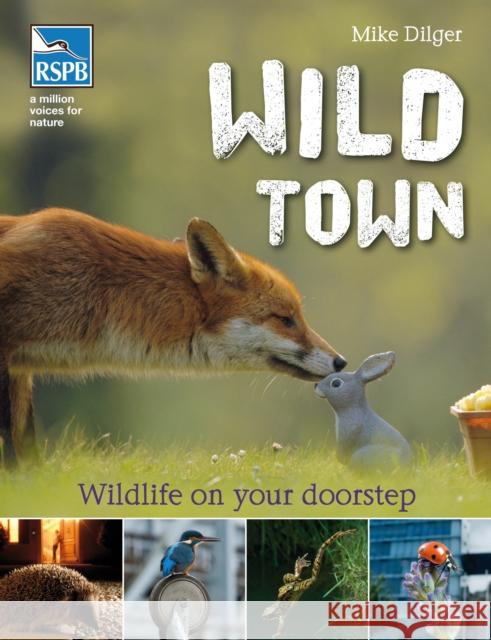 Wild Town Mike Dilger 9781408173909  - książka