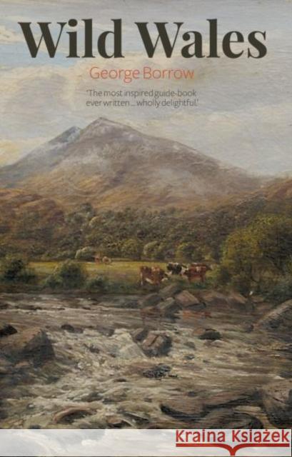 Wild Wales George Borrow 9781845244514 Llygad Gwalch Cyf - książka