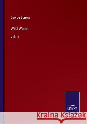Wild Wales: Vol. III George Borrow   9783375019181 Salzwasser-Verlag - książka