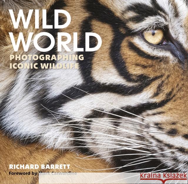 Wild World: Photographing Iconic Wildlife Richard Barrett 9781913159276 Merlin Unwin Books - książka