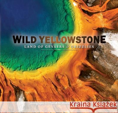 Wild Yellowstone: Land of Geysers and Grizzlies David Peterson 9781560378181 Farcountry Press - książka