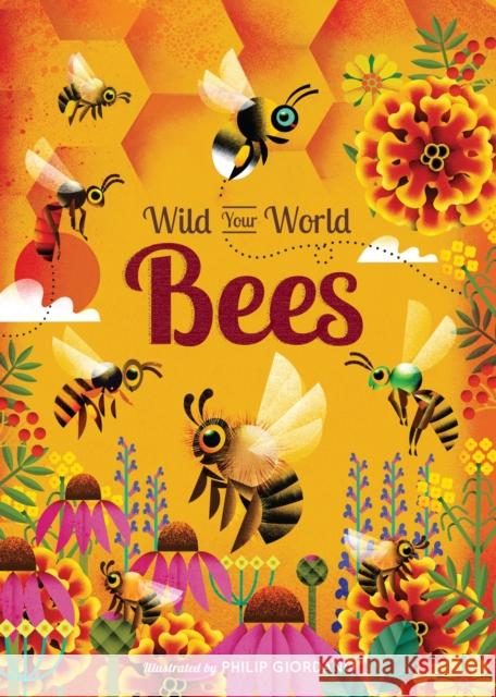 Wild Your World: Bees Camilla de la Bedoyere 9781836005353 Quarto Publishing PLC - książka