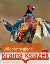Wildbrethygiene heute : Beurteilung - Versorgung - Verordnungen Deutz, Armin 9783835409897 BLV Buchverlag - książka
