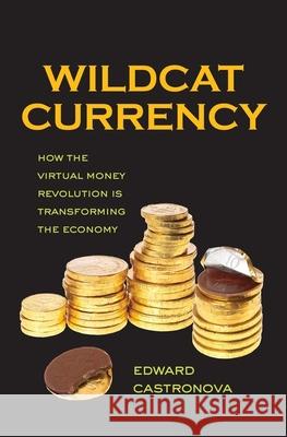 Wildcat Currency: How the Virtual Money Revolution Is Transforming the Economy Edward Castronova 9780300186130 Yale University Press - książka