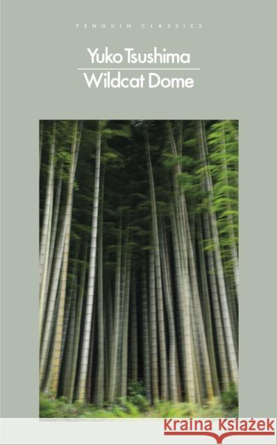 Wildcat Dome Yuko Tsushima 9780241649466 Penguin Books Ltd - książka