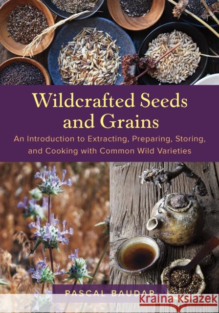 Wildcrafted Seeds and Grains: An Introduction to Extracting, Preparing, Storing, and Cooking with Common Wild Varieties Pascal Baudar 9781645022725 Chelsea Green Publishing Company - książka