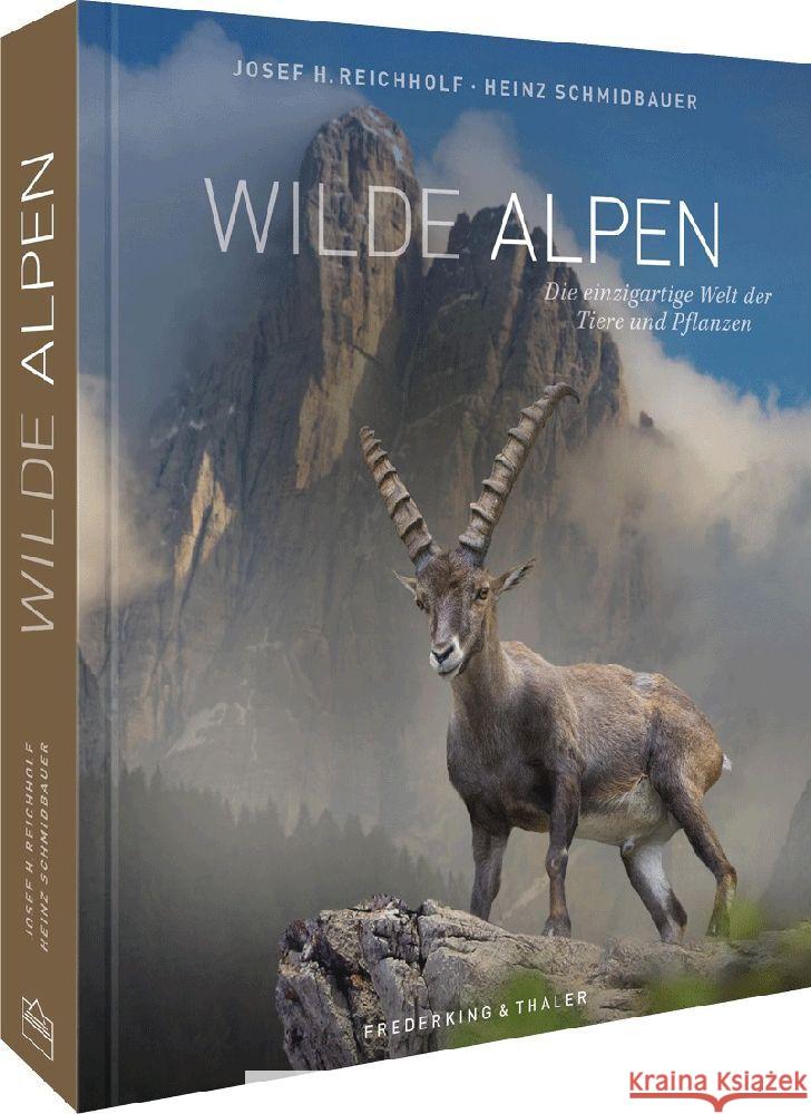 Wilde Alpen Reichholf, Josef H. 9783954163885 Frederking & Thaler - książka