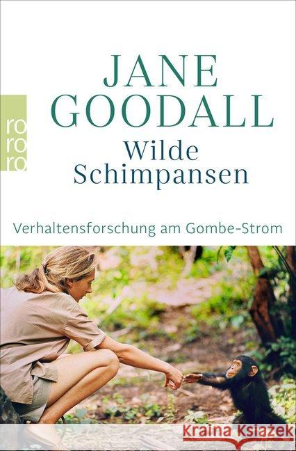 Wilde Schimpansen : Verhaltensforschung am Gombe-Strom Goodall, Jane 9783499003035 Rowohlt TB. - książka