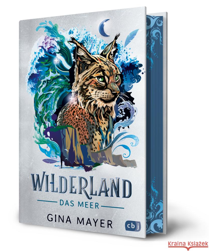 Wilderland - Das Meer Mayer, Gina 9783570182628 cbj - książka
