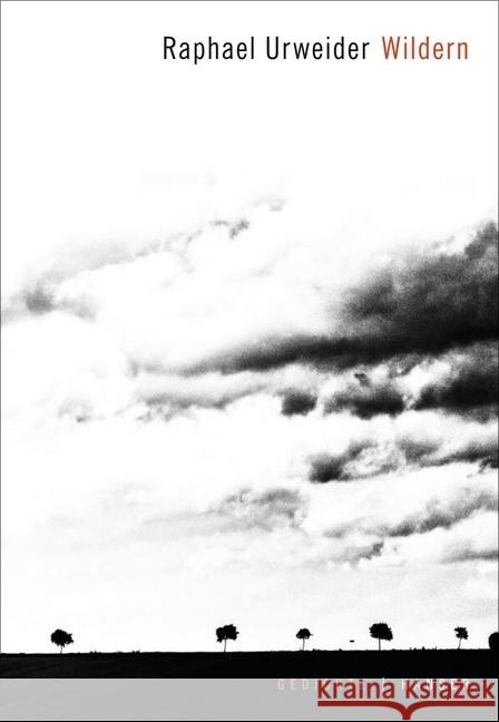 Wildern : Gedichte Urweider, Raphael 9783446258259 Hanser - książka