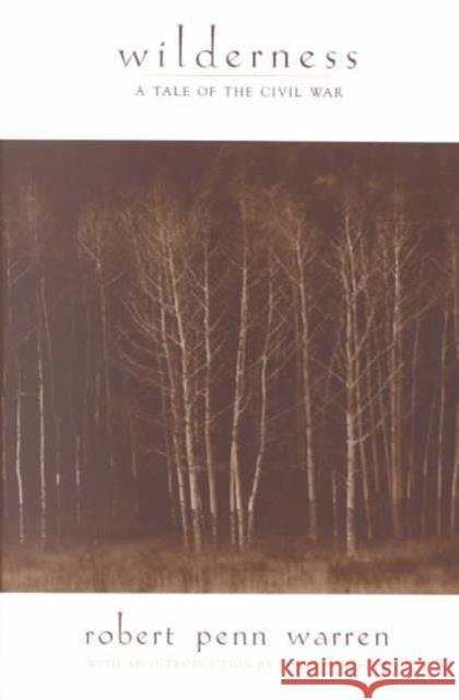 Wilderness: A Tale of the Civil War Warren, Robert Penn 9781572331341 University of Tennessee Press - książka