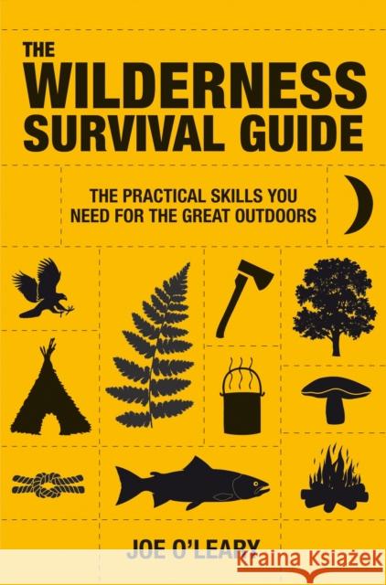 Wilderness Survival Guide: The Practical Skills You Need for the Great Outdoors Joe O'Leary 9781907486043  - książka