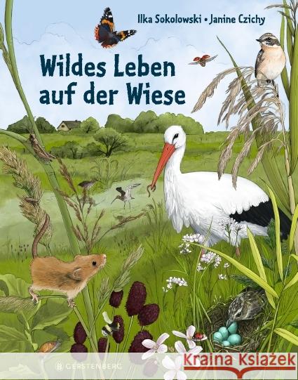 Wildes Leben auf der Wiese Sokolowski, Ilka 9783836961257 Gerstenberg Verlag - książka