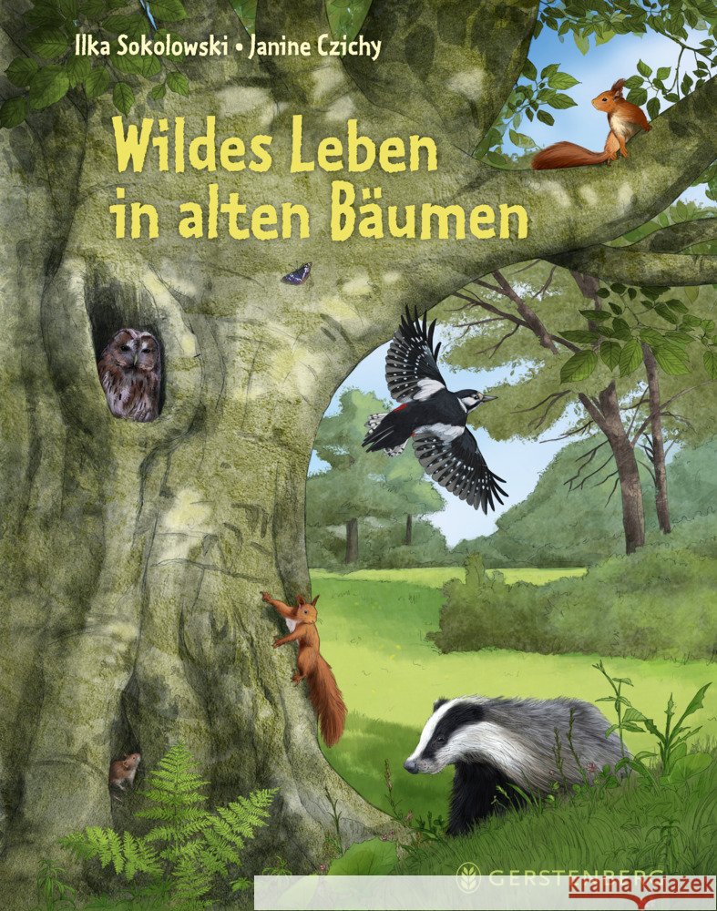 Wildes Leben in alten Bäumen Sokolowski, Ilka 9783836962230 Gerstenberg Verlag - książka