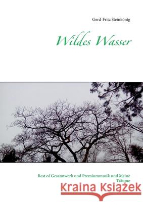 Wildes Wasser: Best of Gesamtwerk und Premiummusik und Meine Träume Gerd-Fritz Steinkönig 9783752658705 Books on Demand - książka