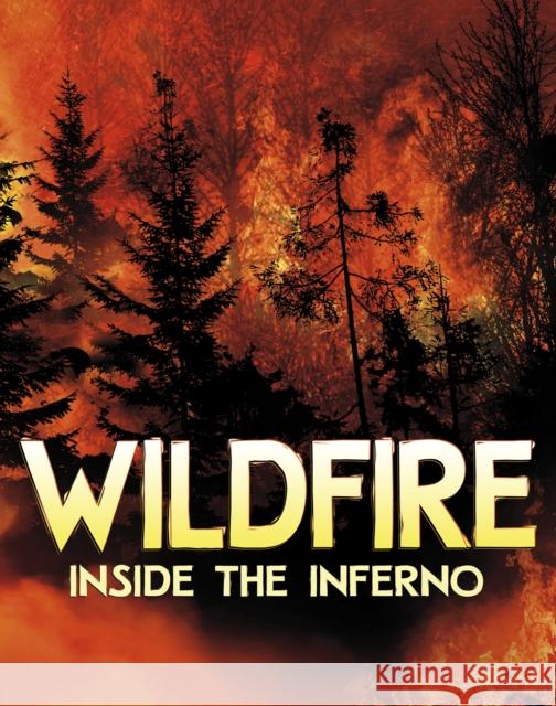 Wildfire, Inside the Inferno Jaclyn Jaycox 9781398250383 Capstone Global Library Ltd - książka