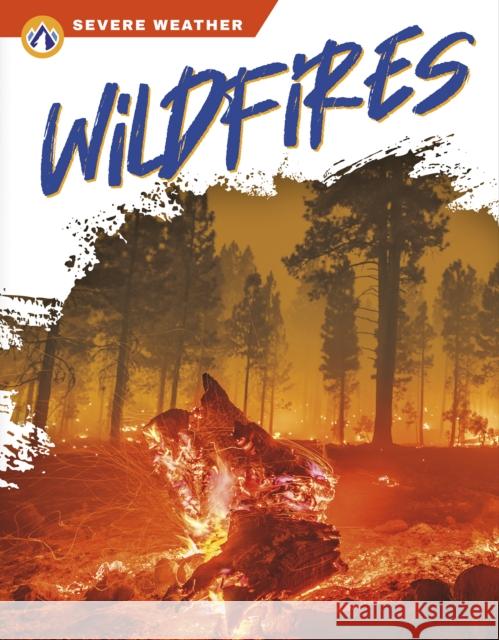 Wildfires Candice Ransom 9781637383063 North Star Editions - książka