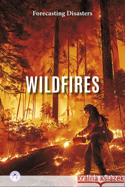 Wildfires Dalton Rains 9798892506656 Apex - książka