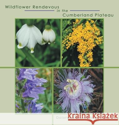 Wildflower Rendevous in the Cumberland Plateau Dolores Reppert Morris 9781664281967 WestBow Press - książka