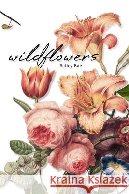 wildflowers Bailey Rae 9780645202137 Bailey Rae - książka
