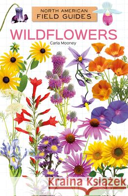 Wildflowers Carla Mooney 9781098298975 Field Guides - książka